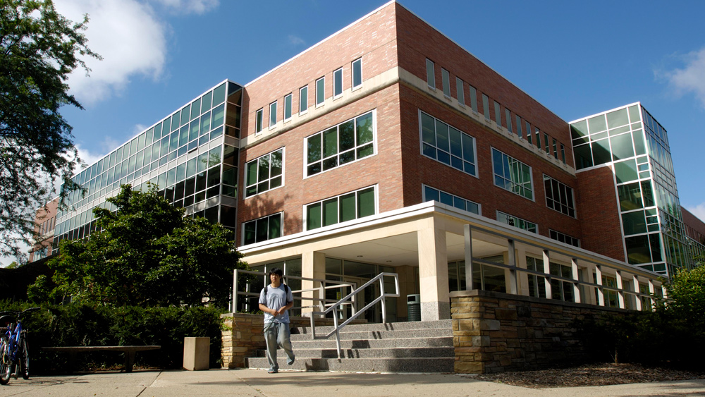 msu thesis library